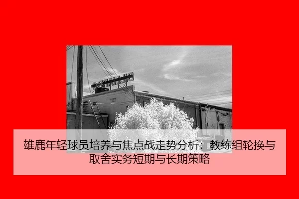 雄鹿年轻球员培养与焦点战走势分析：教练组轮换与取舍实务短期与长期策略